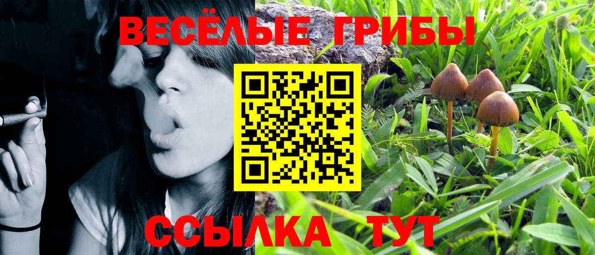 ГАШ Корсаков