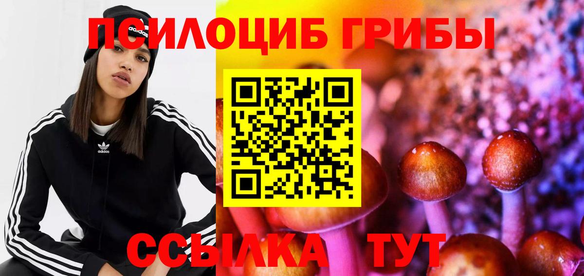 Корсаков  Галлюциногенные грибы MAGIC MUSHROOMS  Вход с VPN  Галлюциногенные грибы Psilocybine cubensis 